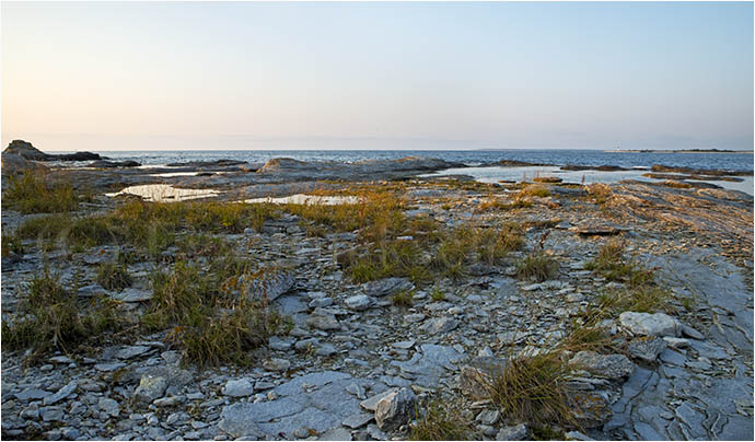 Julikväll - foto av Eva Bucksch