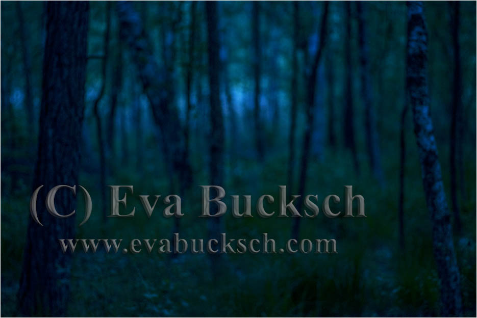 Mörkervarelser - foto av Eva Bucksch