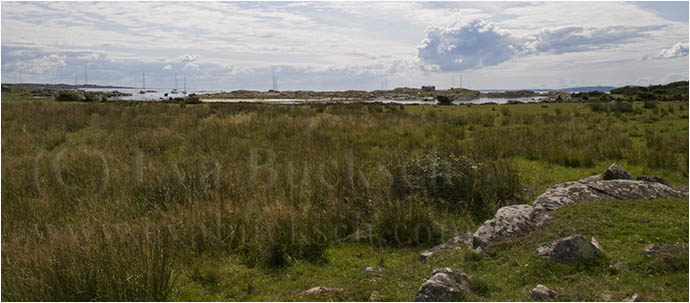 Naturhamn - foto av Eva Bucksch